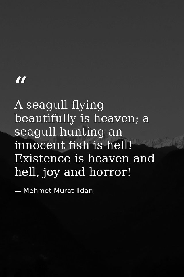 A seagull flying beautifully is heaven; a seagull hunting an innocent fish is hell! Existence is heaven and hell, joy an — Mehmet Murat ildan