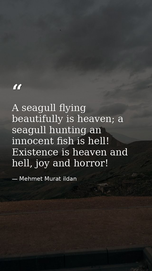 A seagull flying beautifully is heaven; a seagull hunting an innocent fish is hell! Existence is heaven and hell, joy an — Mehmet Murat ildan