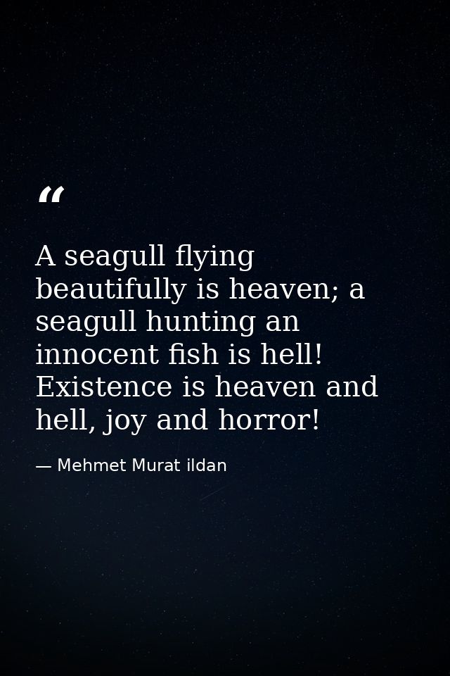 A seagull flying beautifully is heaven; a seagull hunting an innocent fish is hell! Existence is heaven and hell, joy an — Mehmet Murat ildan