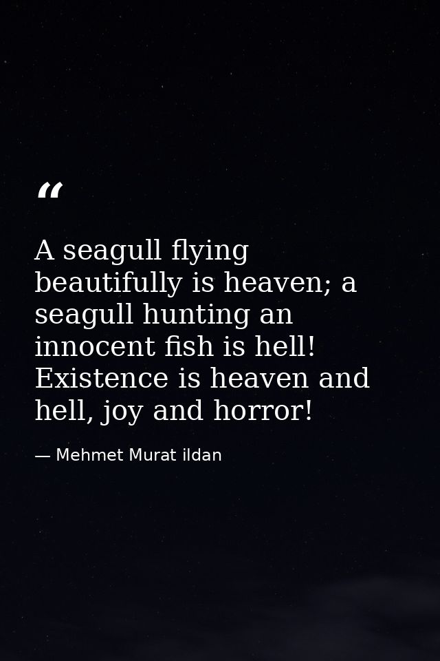 A seagull flying beautifully is heaven; a seagull hunting an innocent fish is hell! Existence is heaven and hell, joy an — Mehmet Murat ildan