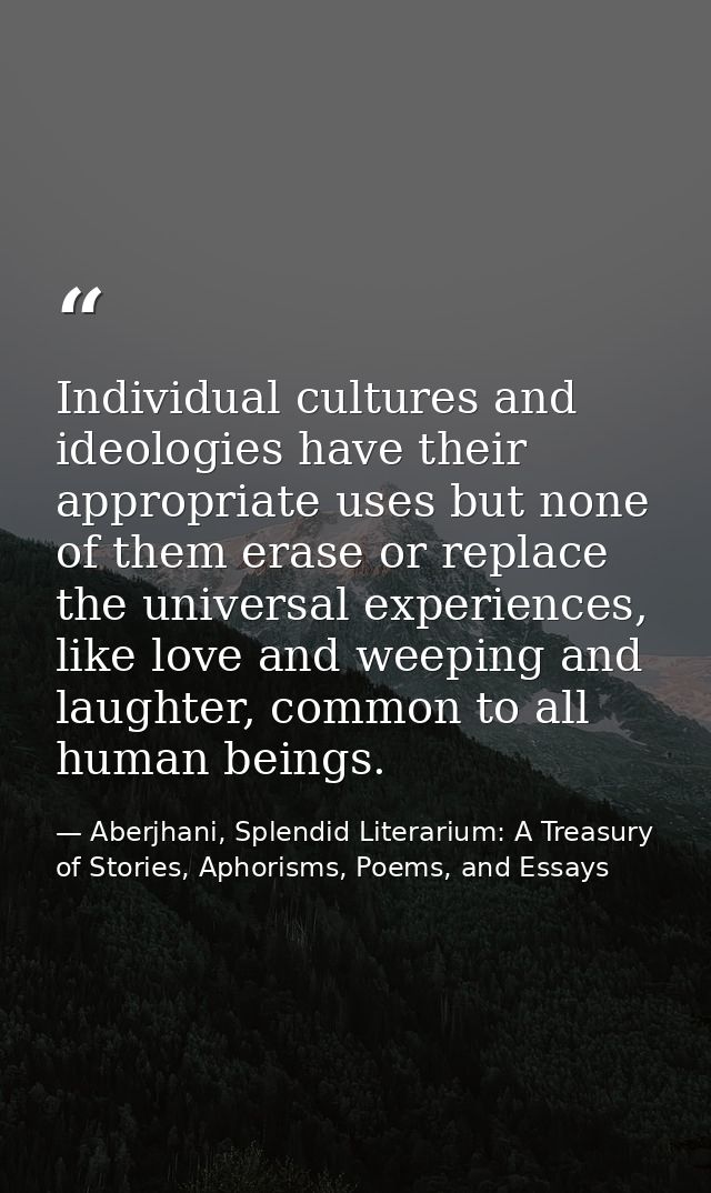 Individual cultures and ideologies have their appropriate uses but none of them erase or replace the universal experienc — Aberjhani, Splendid Literarium: A Treasury of Stories, Aphorisms, Poems, and Essays