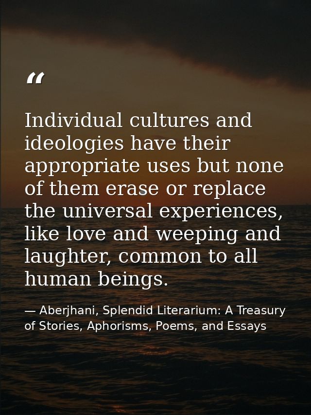 Individual cultures and ideologies have their appropriate uses but none of them erase or replace the universal experienc — Aberjhani, Splendid Literarium: A Treasury of Stories, Aphorisms, Poems, and Essays