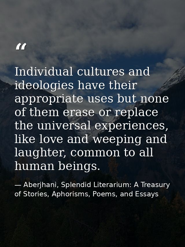 Individual cultures and ideologies have their appropriate uses but none of them erase or replace the universal experienc — Aberjhani, Splendid Literarium: A Treasury of Stories, Aphorisms, Poems, and Essays