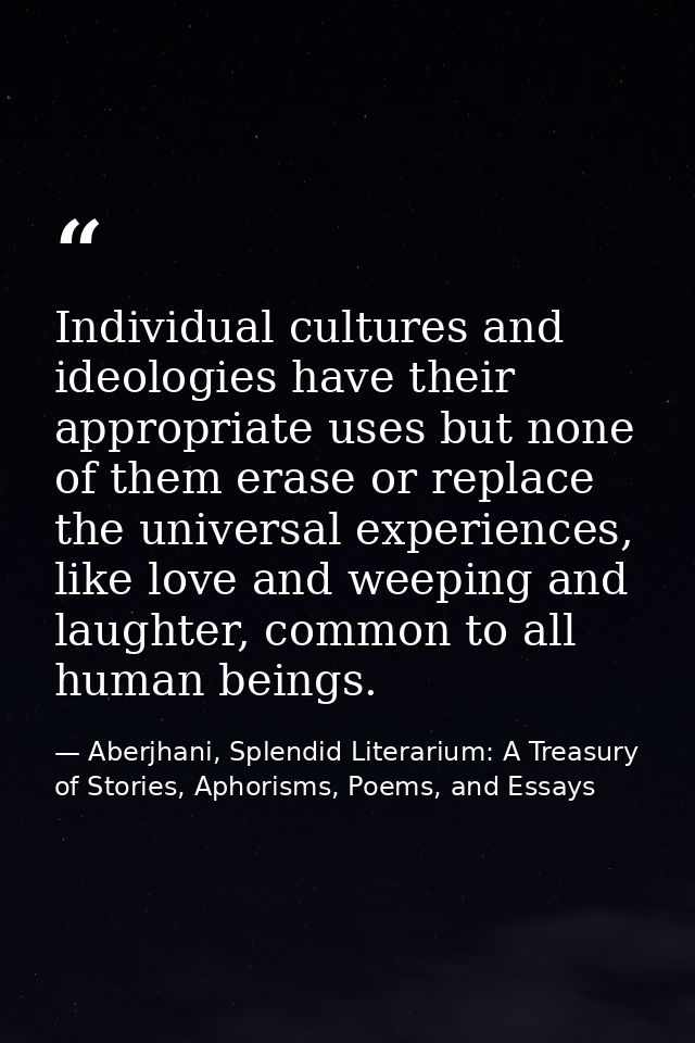 Individual cultures and ideologies have their appropriate uses but none of them erase or replace the universal experienc — Aberjhani, Splendid Literarium: A Treasury of Stories, Aphorisms, Poems, and Essays