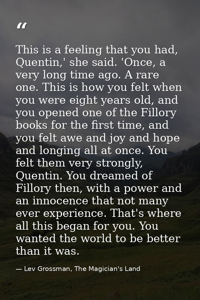 This is a feeling that you had, Quentin,' she said. 'Once, a very long time ago. A rare one. This is how you felt when y — Lev Grossman, The Magician's Land