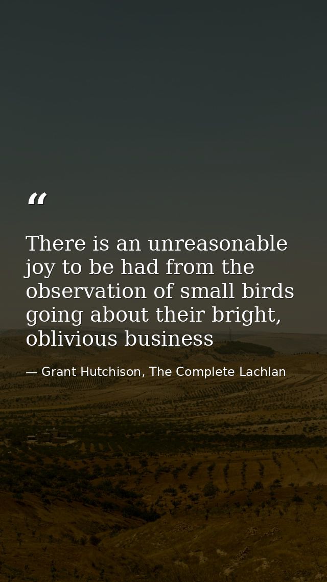 There is an unreasonable joy to be had from the observation of small birds going about their bright, oblivious business — Grant Hutchison, The Complete Lachlan