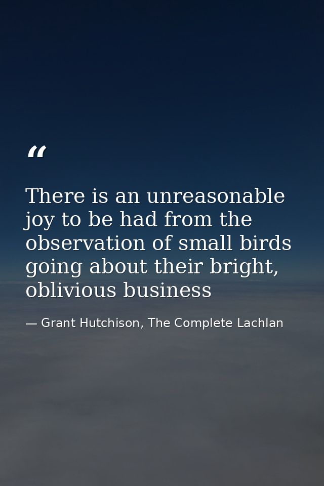 There is an unreasonable joy to be had from the observation of small birds going about their bright, oblivious business — Grant Hutchison, The Complete Lachlan