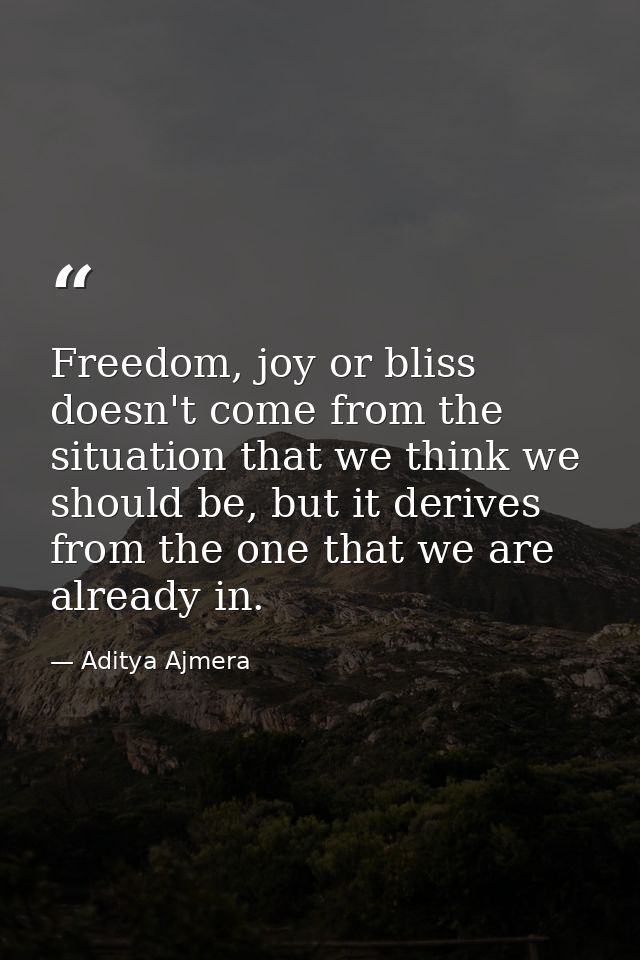 Freedom, joy or bliss doesn't come from the situation that we think we should be, but it derives from the one that we ar — Aditya Ajmera