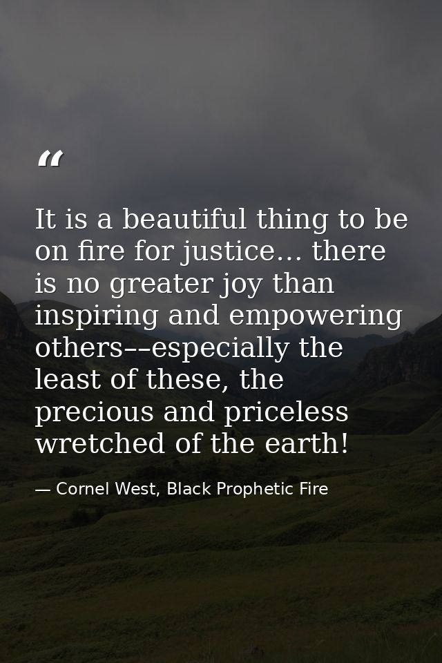 It is a beautiful thing to be on fire for justice… there is no greater joy than inspiring and empowering others––especia — Cornel West, Black Prophetic Fire