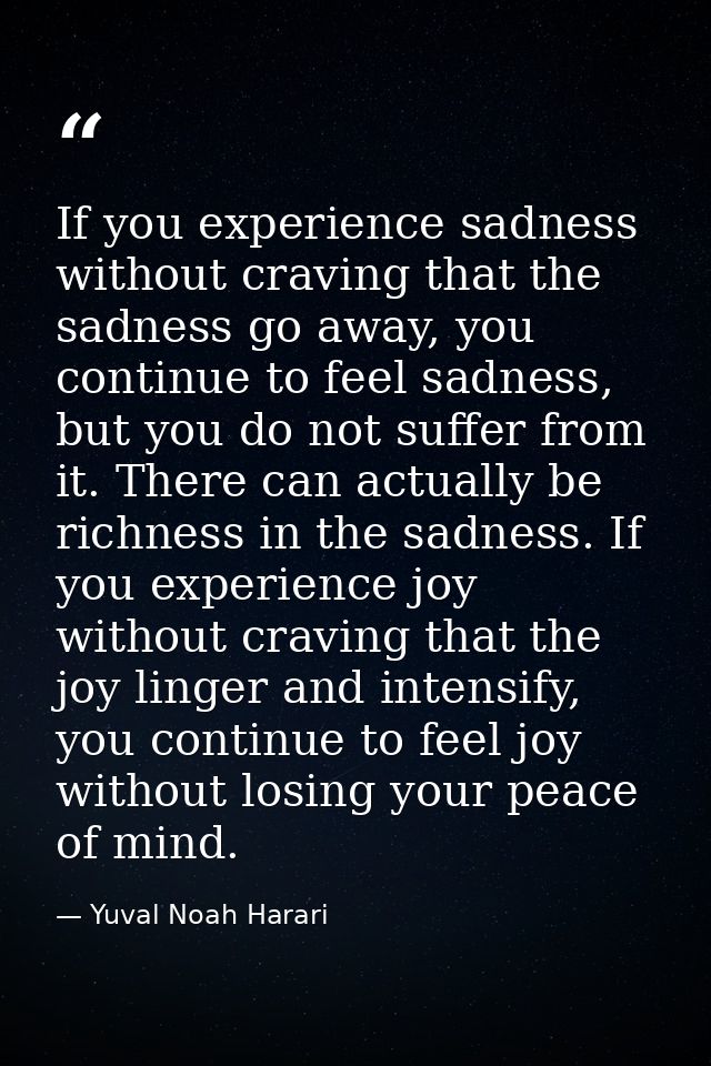 If you experience sadness without craving that the sadness go away, you continue to feel sadness, but you do not suffer  — Yuval Noah Harari