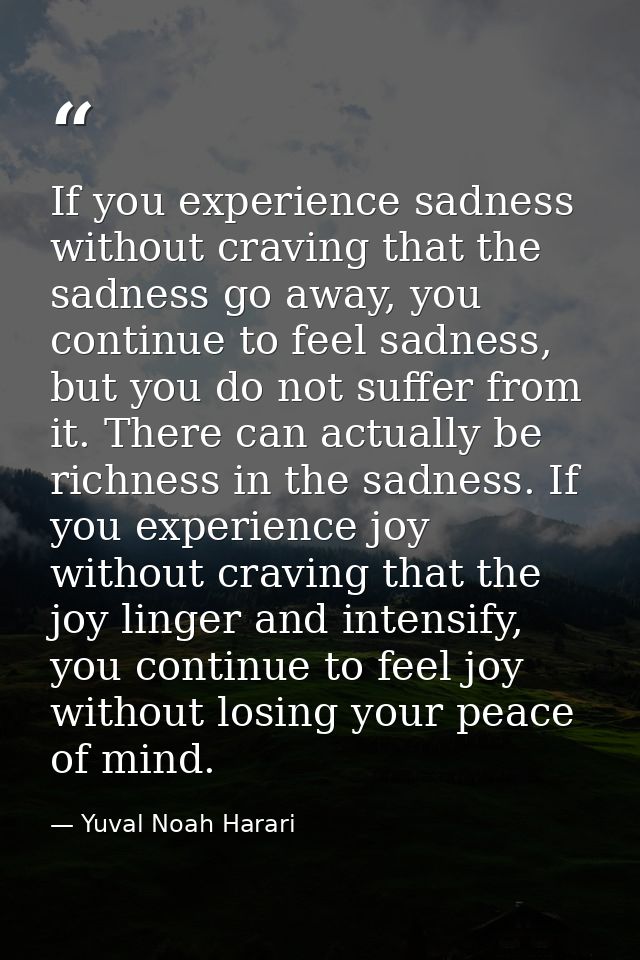 If you experience sadness without craving that the sadness go away, you continue to feel sadness, but you do not suffer  — Yuval Noah Harari