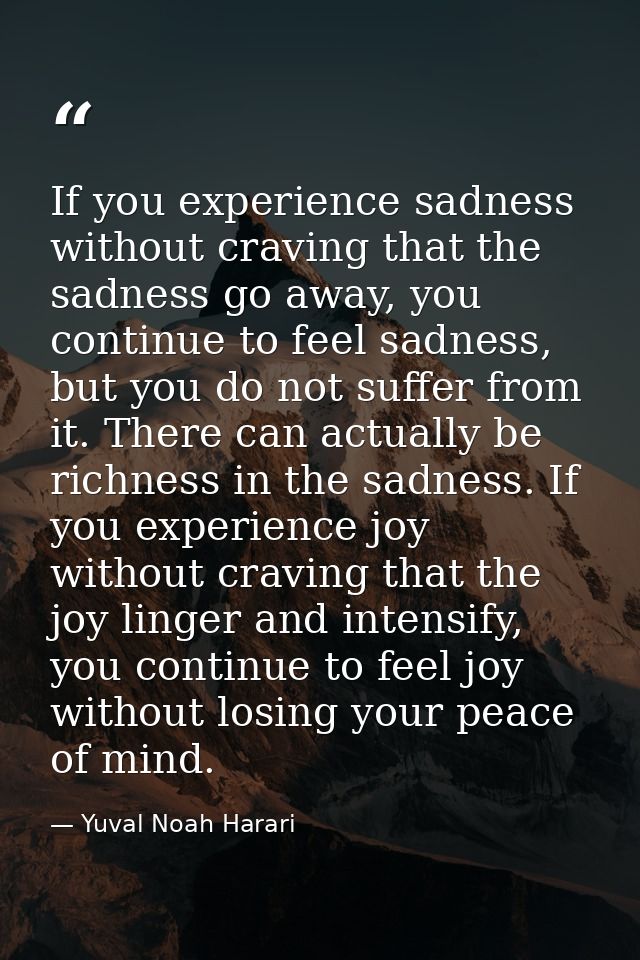 If you experience sadness without craving that the sadness go away, you continue to feel sadness, but you do not suffer  — Yuval Noah Harari