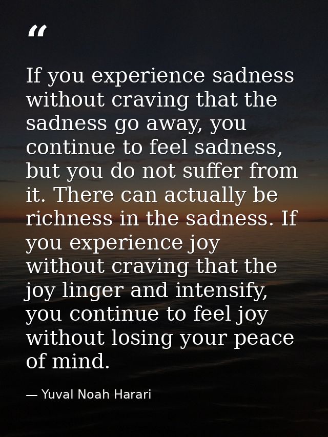 If you experience sadness without craving that the sadness go away, you continue to feel sadness, but you do not suffer  — Yuval Noah Harari