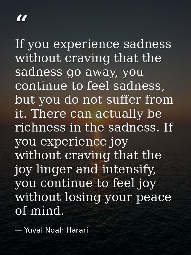 If you experience sadness without craving that the sadness go away, you continue to feel sadness, but you do not suffer  — Yuval Noah Harari