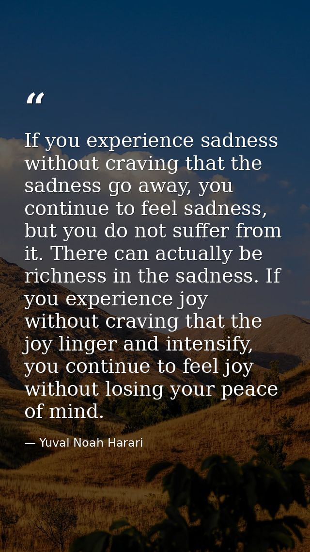 If you experience sadness without craving that the sadness go away, you continue to feel sadness, but you do not suffer  — Yuval Noah Harari