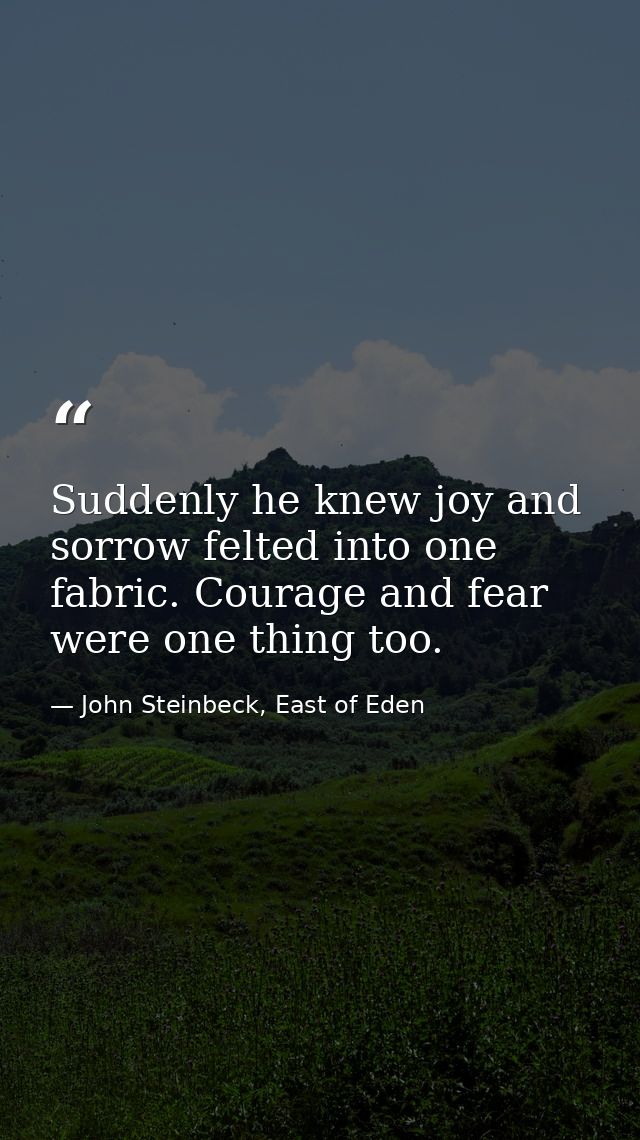 Suddenly he knew joy and sorrow felted into one fabric. Courage and fear were one thing too. — John Steinbeck, East of Eden