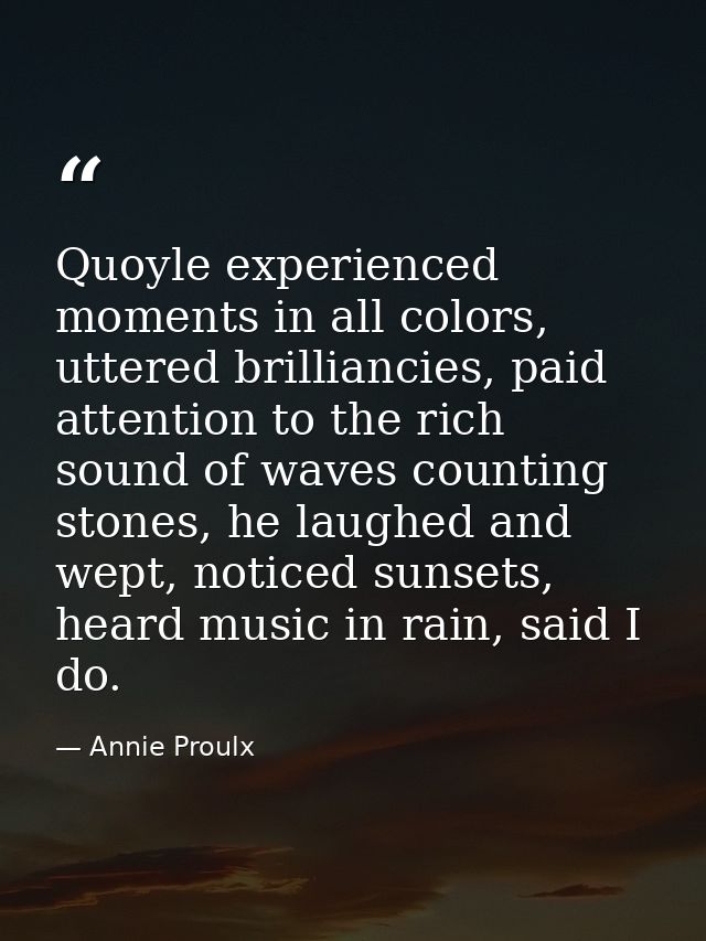 Quoyle experienced moments in all colors, uttered brilliancies, paid attention to the rich sound of waves counting stone — Annie Proulx