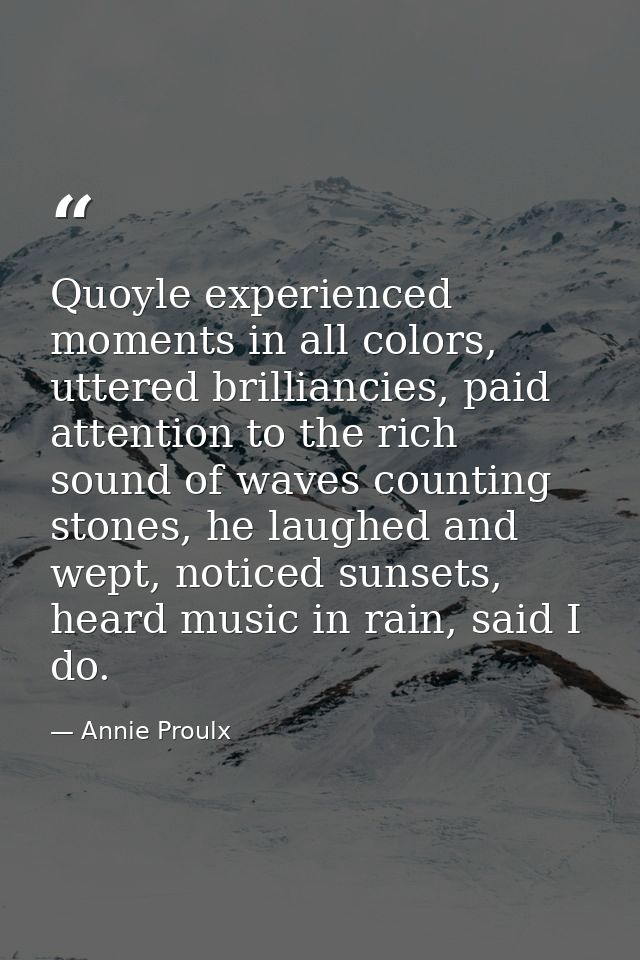 Quoyle experienced moments in all colors, uttered brilliancies, paid attention to the rich sound of waves counting stone — Annie Proulx