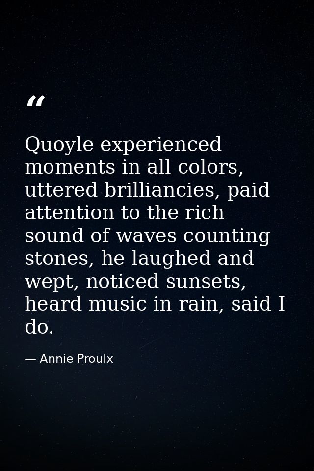 Quoyle experienced moments in all colors, uttered brilliancies, paid attention to the rich sound of waves counting stone — Annie Proulx
