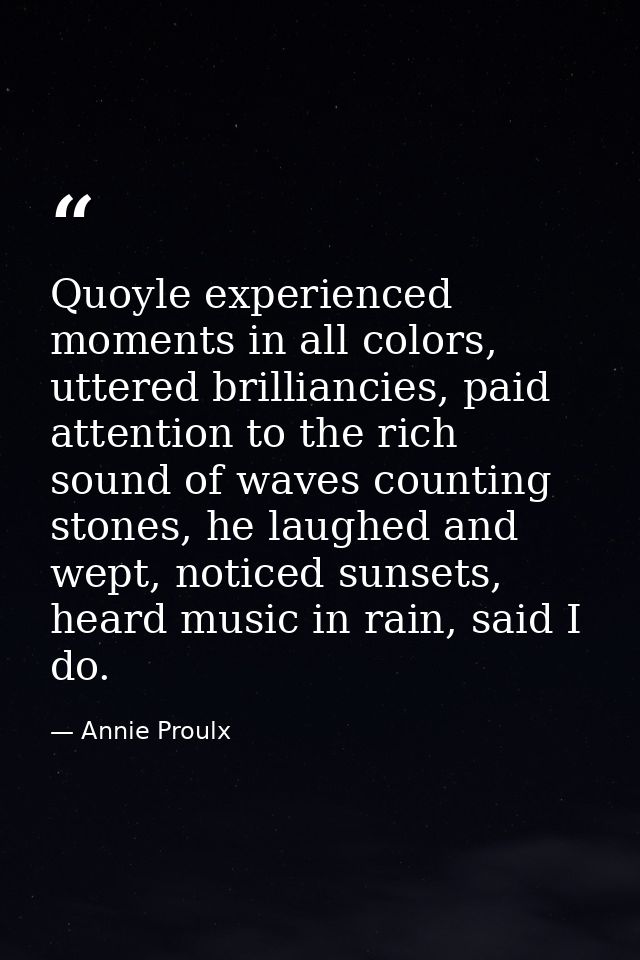 Quoyle experienced moments in all colors, uttered brilliancies, paid attention to the rich sound of waves counting stone — Annie Proulx