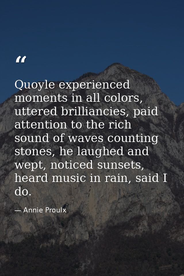 Quoyle experienced moments in all colors, uttered brilliancies, paid attention to the rich sound of waves counting stone — Annie Proulx