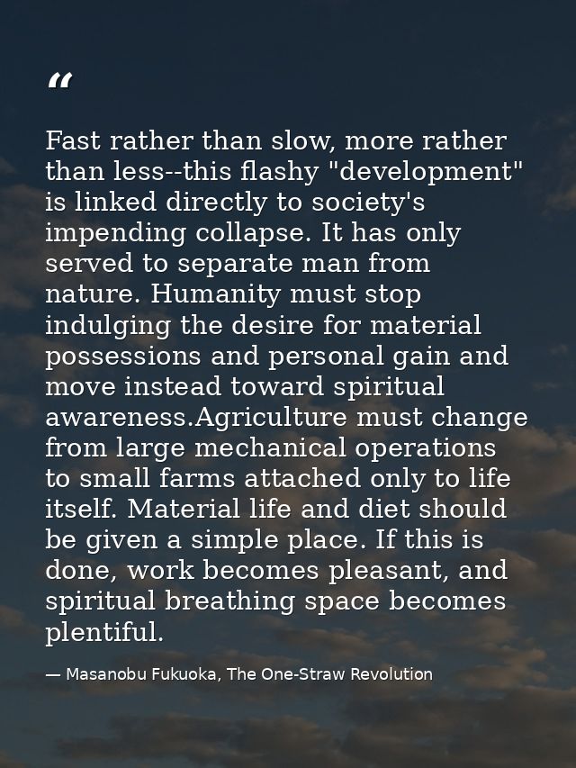 Fast rather than slow, more rather than less--this flashy "development" is linked directly to society's impending collap — Masanobu Fukuoka, The One-Straw Revolution