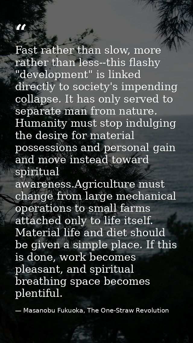 Fast rather than slow, more rather than less--this flashy "development" is linked directly to society's impending collap — Masanobu Fukuoka, The One-Straw Revolution