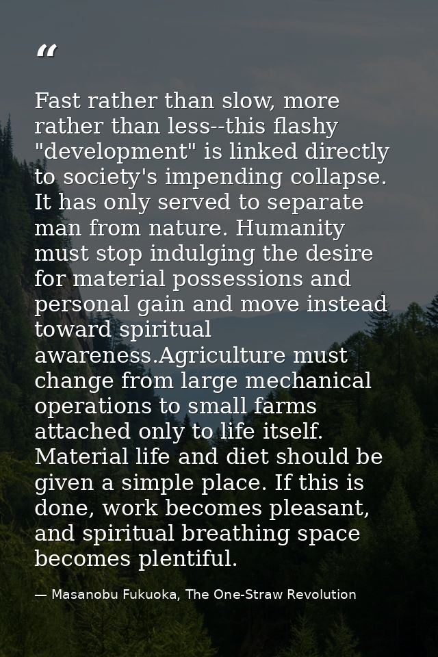 Fast rather than slow, more rather than less--this flashy "development" is linked directly to society's impending collap — Masanobu Fukuoka, The One-Straw Revolution