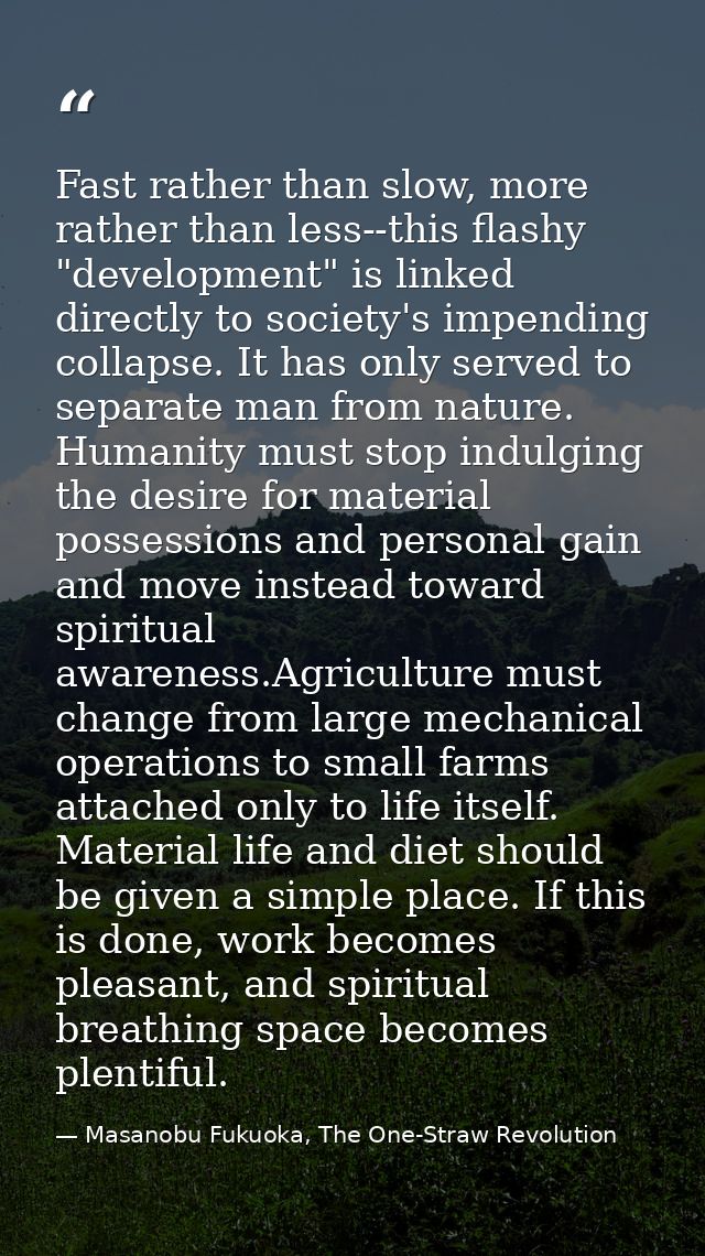 Fast rather than slow, more rather than less--this flashy "development" is linked directly to society's impending collap — Masanobu Fukuoka, The One-Straw Revolution
