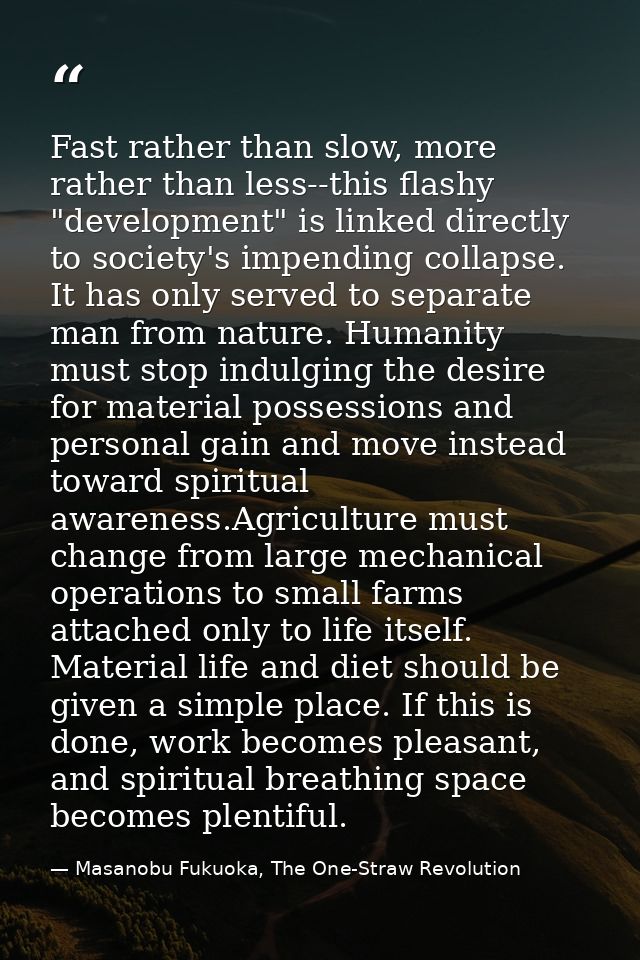 Fast rather than slow, more rather than less--this flashy "development" is linked directly to society's impending collap — Masanobu Fukuoka, The One-Straw Revolution