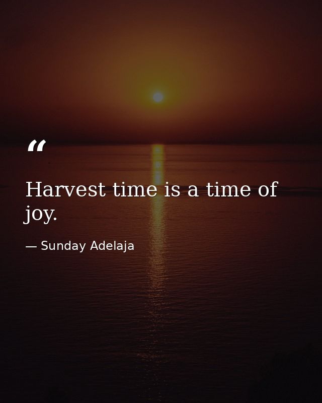 Harvest time is a time of joy. — Sunday Adelaja