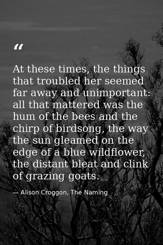 At these times, the things that troubled her seemed far away and unimportant: all that mattered was the hum of the bees  — Alison Croggon, The Naming