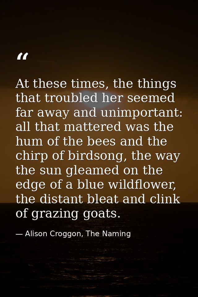 At these times, the things that troubled her seemed far away and unimportant: all that mattered was the hum of the bees  — Alison Croggon, The Naming
