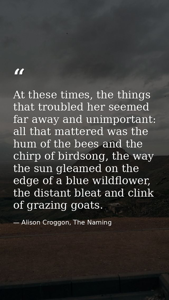 At these times, the things that troubled her seemed far away and unimportant: all that mattered was the hum of the bees  — Alison Croggon, The Naming