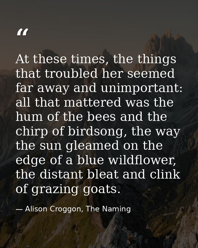 At these times, the things that troubled her seemed far away and unimportant: all that mattered was the hum of the bees  — Alison Croggon, The Naming