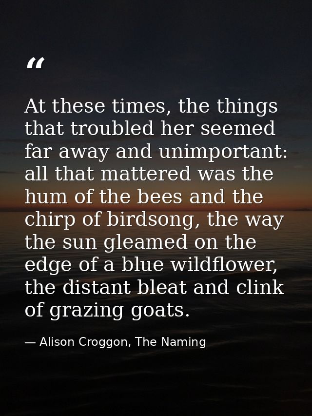 At these times, the things that troubled her seemed far away and unimportant: all that mattered was the hum of the bees  — Alison Croggon, The Naming