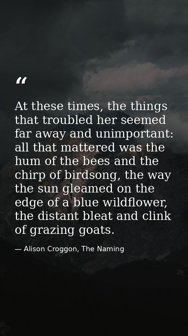 At these times, the things that troubled her seemed far away and unimportant: all that mattered was the hum of the bees  — Alison Croggon, The Naming
