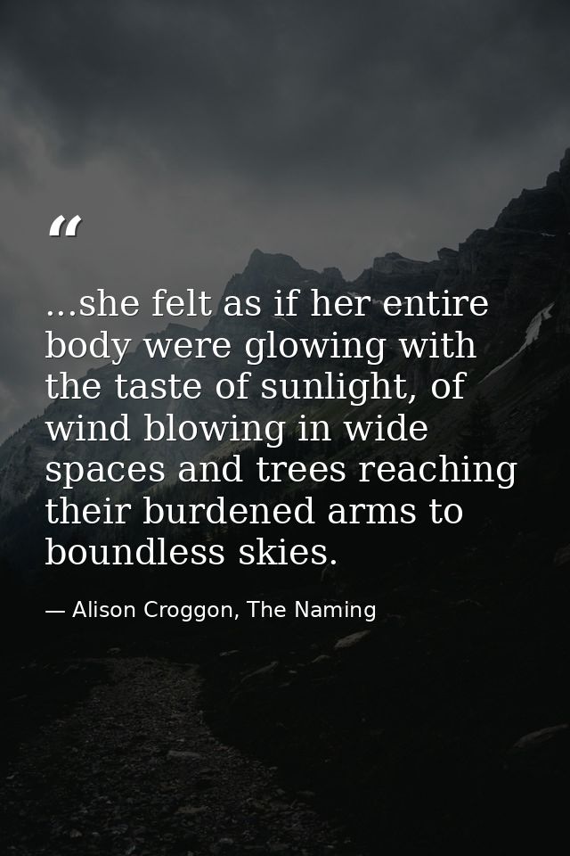 ...she felt as if her entire body were glowing with the taste of sunlight, of wind blowing in wide spaces and trees reac — Alison Croggon, The Naming