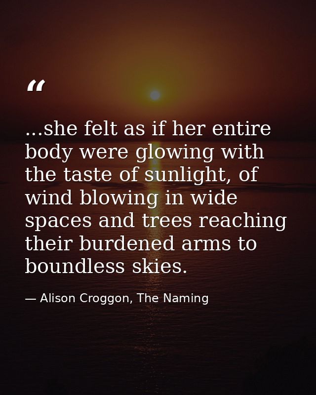 ...she felt as if her entire body were glowing with the taste of sunlight, of wind blowing in wide spaces and trees reac — Alison Croggon, The Naming