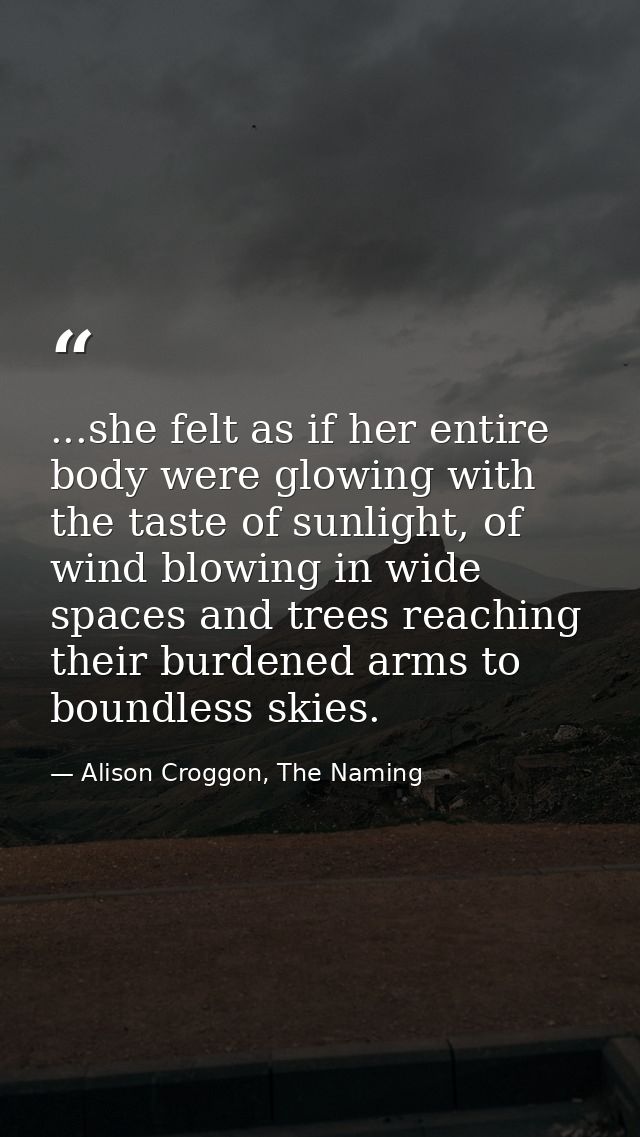 ...she felt as if her entire body were glowing with the taste of sunlight, of wind blowing in wide spaces and trees reac — Alison Croggon, The Naming