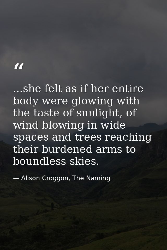...she felt as if her entire body were glowing with the taste of sunlight, of wind blowing in wide spaces and trees reac — Alison Croggon, The Naming