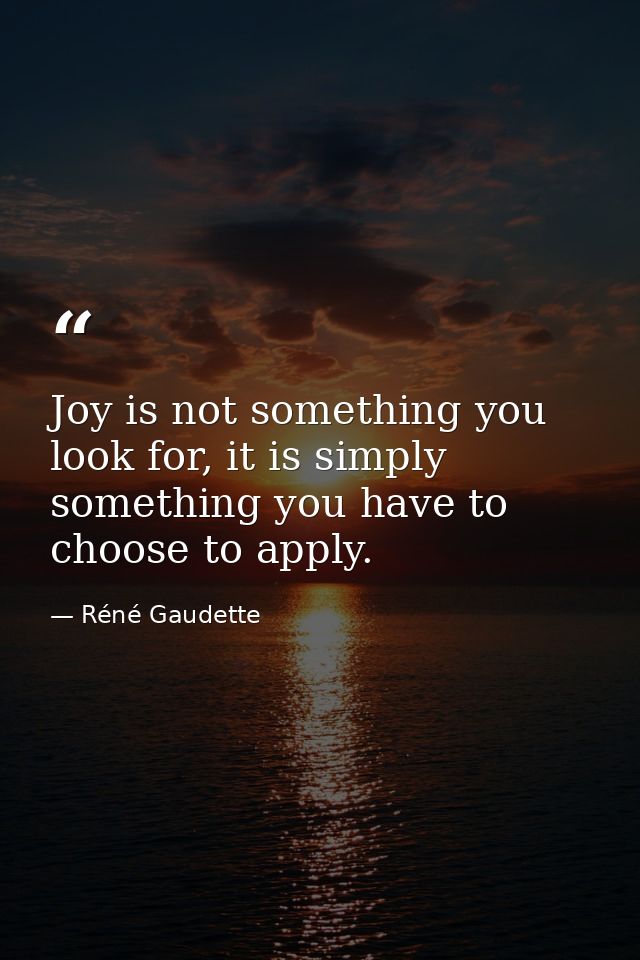 Joy is not something you look for, it is simply something you have to choose to apply. — Réné Gaudette
