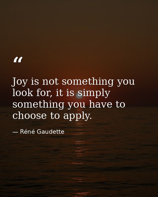 Joy is not something you look for, it is simply something you have to choose to apply. — Réné Gaudette