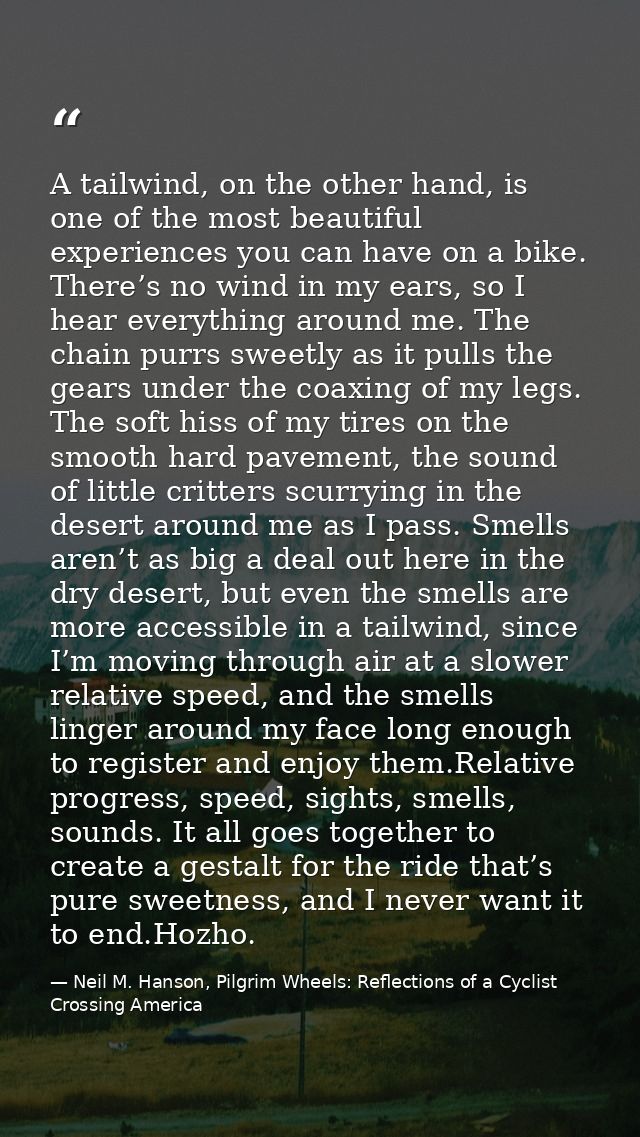 A tailwind, on the other hand, is one of the most beautiful experiences you can have on a bike. There’s no wind in my ea — Neil M. Hanson, Pilgrim Wheels: Reflections of a Cyclist Crossing America