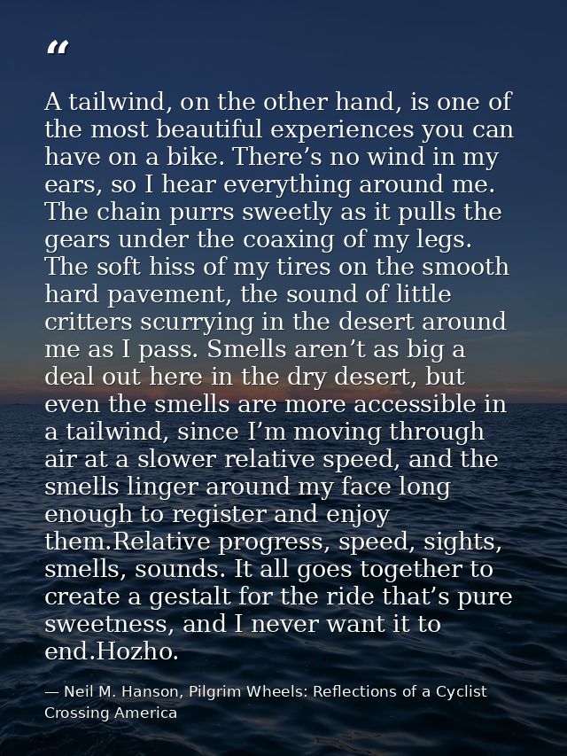 A tailwind, on the other hand, is one of the most beautiful experiences you can have on a bike. There’s no wind in my ea — Neil M. Hanson, Pilgrim Wheels: Reflections of a Cyclist Crossing America