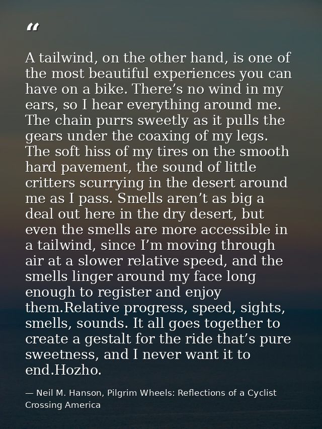 A tailwind, on the other hand, is one of the most beautiful experiences you can have on a bike. There’s no wind in my ea — Neil M. Hanson, Pilgrim Wheels: Reflections of a Cyclist Crossing America