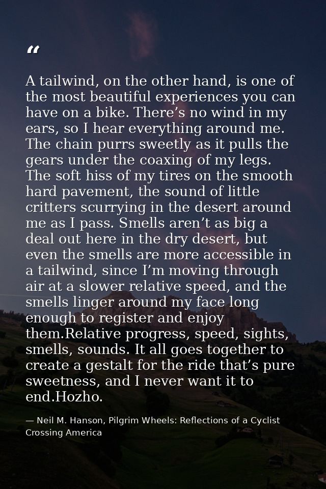 A tailwind, on the other hand, is one of the most beautiful experiences you can have on a bike. There’s no wind in my ea — Neil M. Hanson, Pilgrim Wheels: Reflections of a Cyclist Crossing America