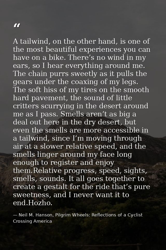 A tailwind, on the other hand, is one of the most beautiful experiences you can have on a bike. There’s no wind in my ea — Neil M. Hanson, Pilgrim Wheels: Reflections of a Cyclist Crossing America