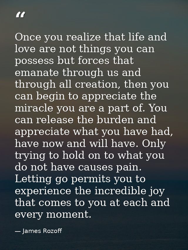 Once you realize that life and love are not things you can possess but forces that emanate through us and through all cr — James Rozoff