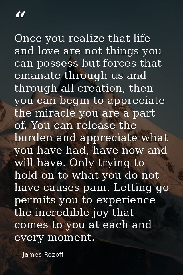 Once you realize that life and love are not things you can possess but forces that emanate through us and through all cr — James Rozoff